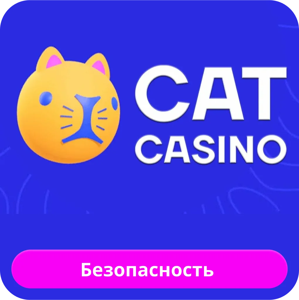 Безопасен ли Cat casino Cat casino безопасность
